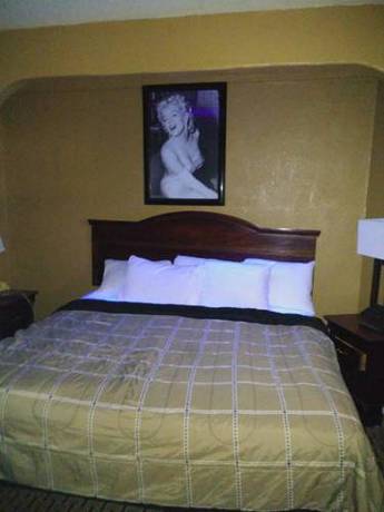 Imagen de la habitación del Garden Inn & Suites New Braunfels. Foto 2