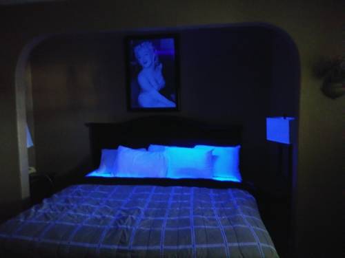 Imagen de la habitación del Garden Inn & Suites New Braunfels. Foto 3
