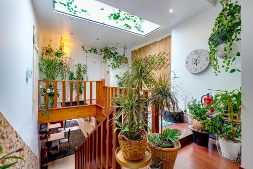 Imagen general del Garden in Town Hostel. Foto 14