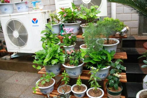 Imagen general del Gardenia Blossom Youth Hotel. Foto 5