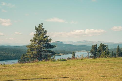 Imagen general del G&aring;l&aring; H&oslash;gfjellshotell. Foto 6