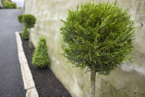 Imagen de la habitación del Garni Nill. Foto 15