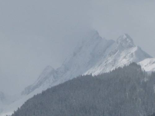 Imagen general del Gasthaus Alpenrose. Foto 12