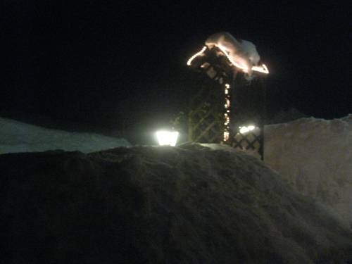 Imagen general del Gasthaus Alpenrose. Foto 21