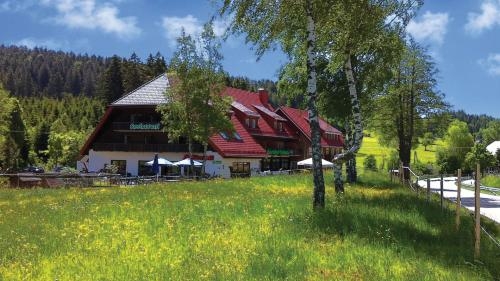 Imagen general del Gasthaus Backhof-Helmle. Foto 2