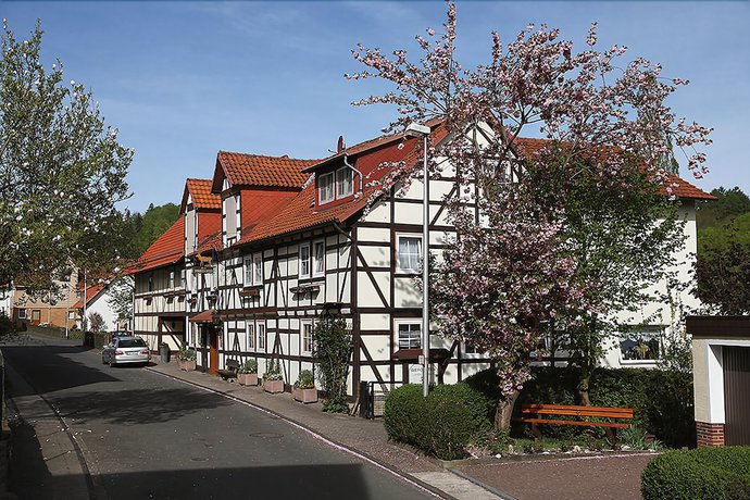 Imagen general del Gasthaus Brauner Hirsch. Foto 2