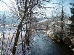 Imagen general del Gasthaus Finken. Foto 5