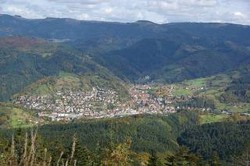 Imagen general del Gasthaus Finken. Foto 11