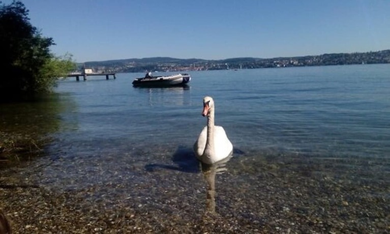 Imagen de los exteriores del Gasthaus Hotel Anker. Foto 9