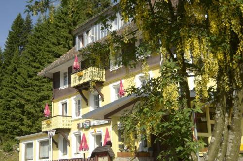 Imagen general del Gasthaus Hotel L&ouml;ffelschmiede. Foto 10