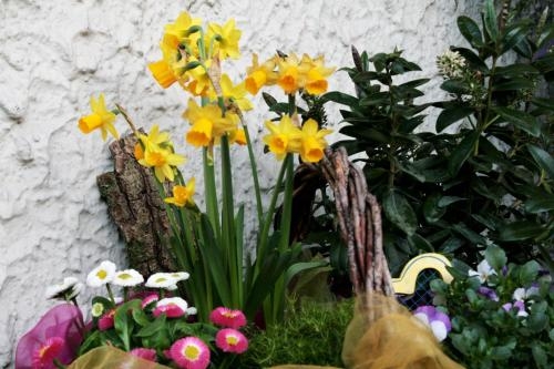 Imagen general del Gasthaus Kreuz. Foto 5