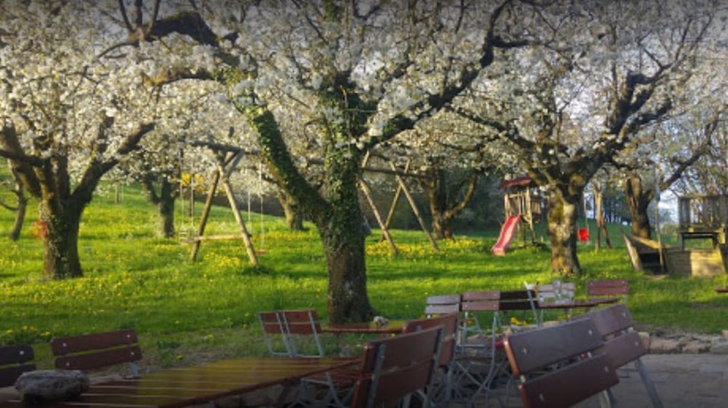 Imagen general del Gasthaus Seerose. Foto 6