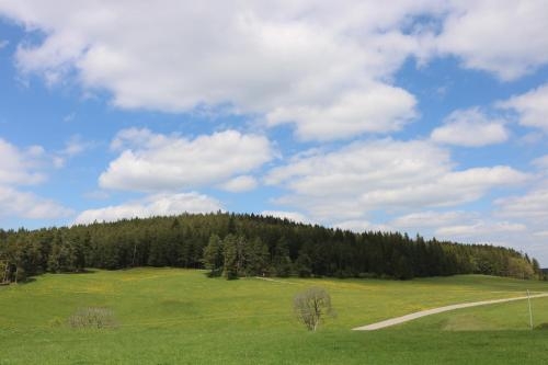 Imagen general del Gasthaus Staude. Foto 3