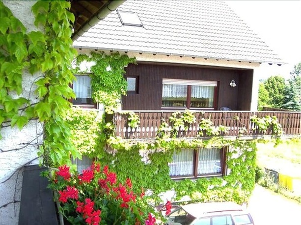 Imagen general del Gasthaus Weber. Foto 13