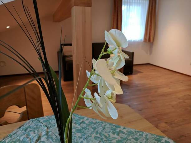 Imagen general del Gasthaus Weingast. Foto 8