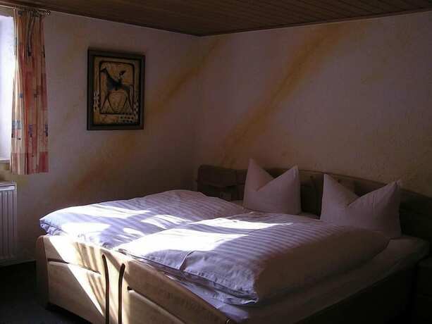 Imagen general del Gasthof Adler, Zusmarshausen. Foto 13