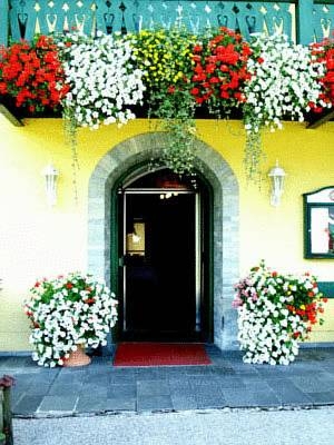 Imagen general del Gasthof Brandwirt. Foto 10