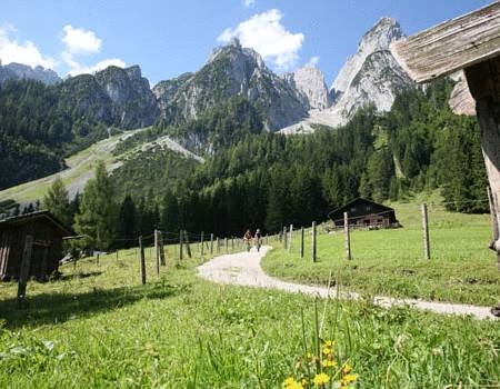 Imagen general del Gasthof Brandwirt. Foto 15