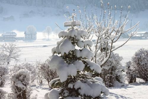 Imagen general del Gasthof Brandwirt. Foto 26