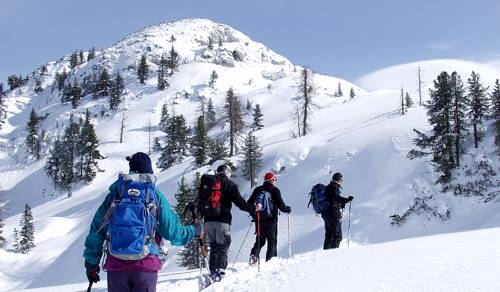 Imagen general del Gasthof Brandwirt. Foto 32