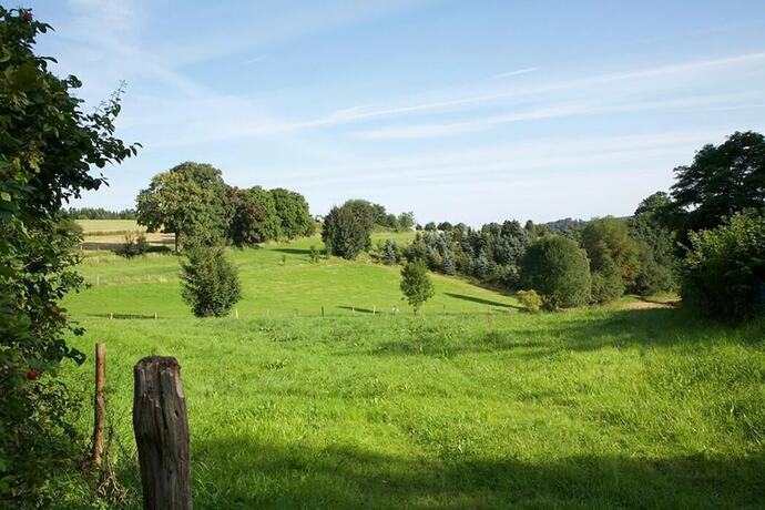 Imagen general del Gasthof Daute. Foto 13