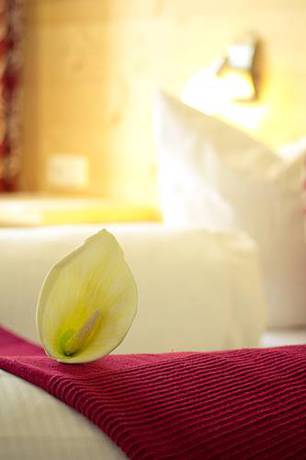 Imagen de la habitación del Gasthof Einhorn Schaller. Foto 16
