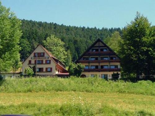 Imagen general del Gasthof Erlenhof. Foto 1