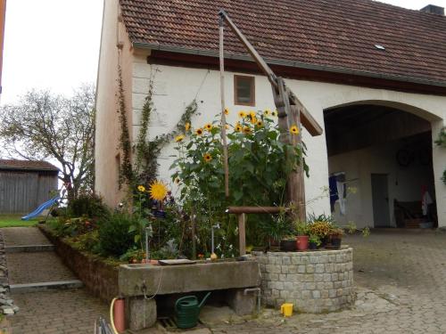 Imagen general del Gasthof Goldenes R&ouml;ssle. Foto 6