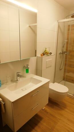 Imagen general del Gasthof Gr&uuml;ner Baum. Foto 4