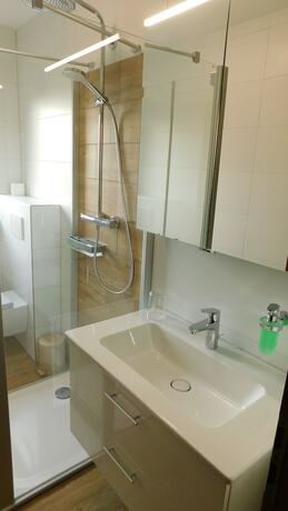 Imagen general del Gasthof Gr&uuml;ner Baum. Foto 9