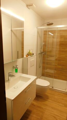 Imagen general del Gasthof Gr&uuml;ner Baum. Foto 13