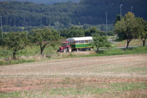 Imagen general del Gasthof Kessler. Foto 5