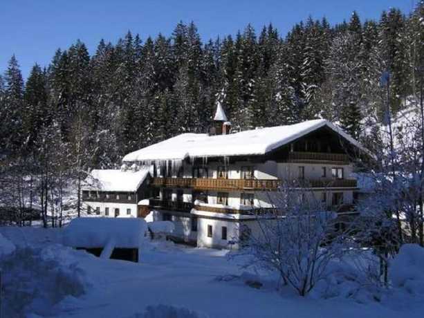 Imagen general del Gasthof M&uuml;hle Natur- and Wanderhotel. Foto 5