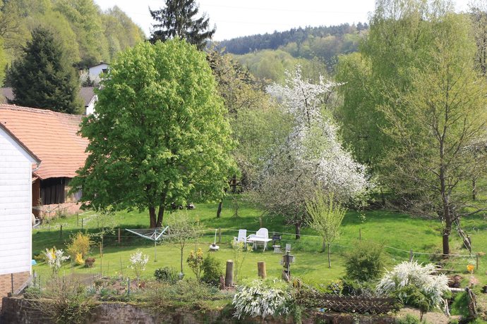 Imagen general del Gasthof Pension Zur Traube. Foto 4