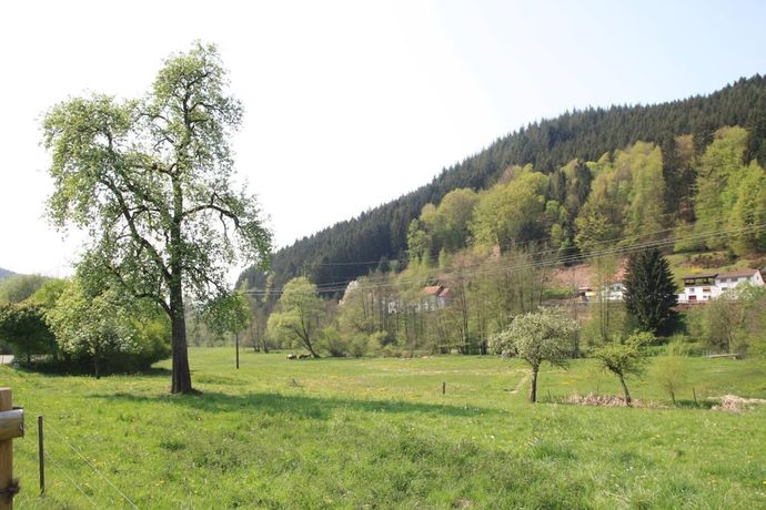 Imagen de los exteriores del Gasthof Pension Zur Traube. Foto 16
