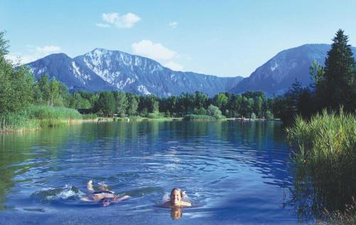 Imagen general del Gasthof Plasch. Foto 11