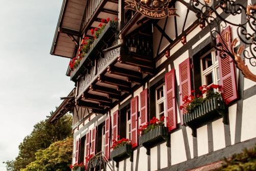 Imagen general del Gasthof Restaurant Rebstock Waldulm. Foto 5