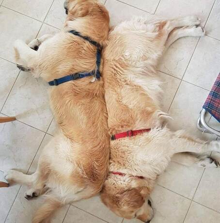 Imagen general del Gasthof Salurn. Foto 11