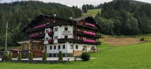 Imagen general del Gasthof Schneerose. Foto 3