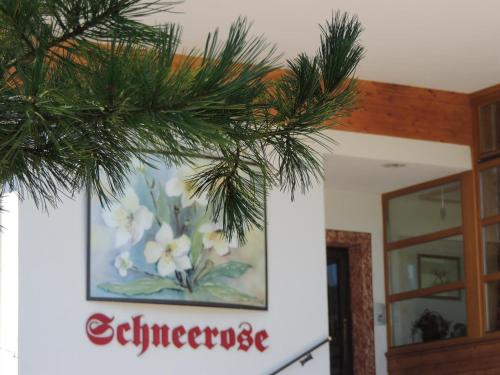Imagen general del Gasthof Schneerose. Foto 4