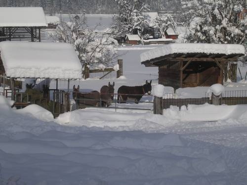 Imagen general del Gasthof Winkler. Foto 7