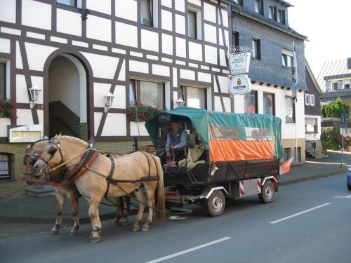 Imagen general del Gasthof Zum &ouml;sterntor. Foto 7
