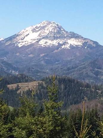 Imagen de la habitación del Gasthof Zur Post. Foto 14