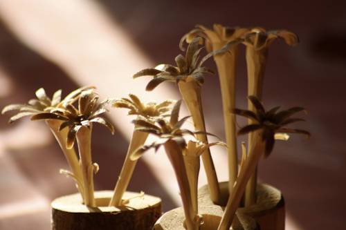 Imagen de la habitación del Gasthof Zur Post. Foto 14