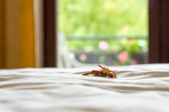 Imagen de la habitación del Gasthof and Landhotel Ohrnbachtal. Foto 14