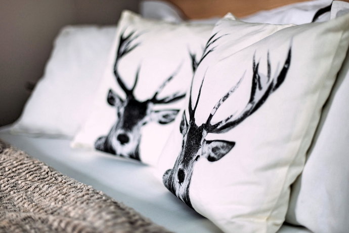 Imagen de los interiores del Gasthof zum Schupfen. Foto 14