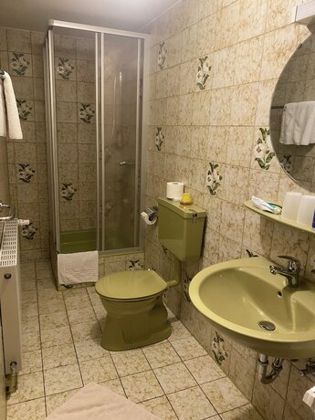 Imagen de la habitación del Gasthof zum goldenen Schiff. Foto 9