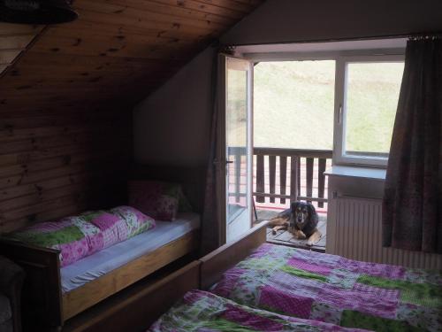 Imagen general del Gasthof zur Post, Obergail. Foto 10