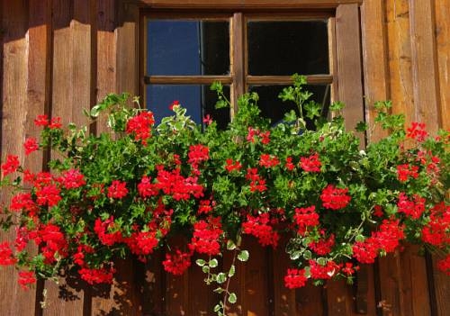 Imagen general del Gatternighof. Foto 2