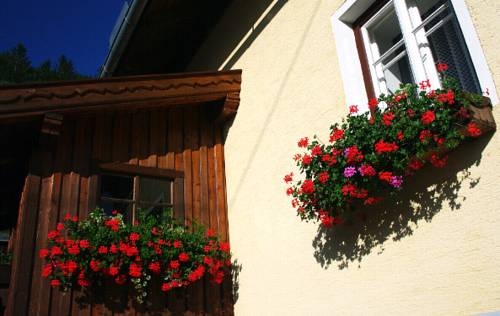 Imagen general del Gatternighof. Foto 4